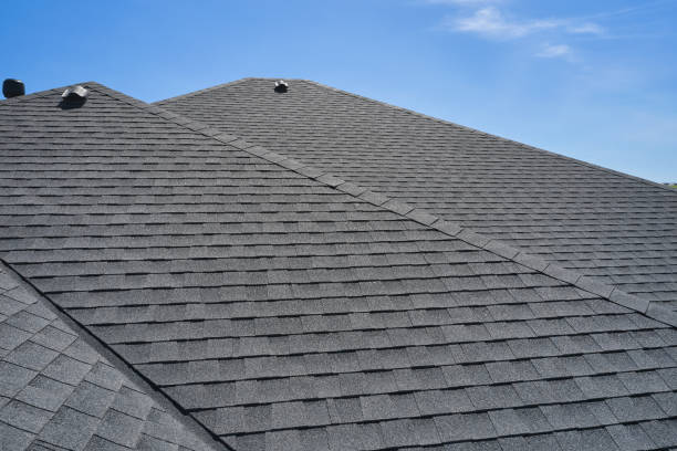 Best Gutter Installation and Repair  in Johnsonville, SC
